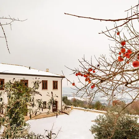 Il Mulino Della Signora Luxury Frigento
